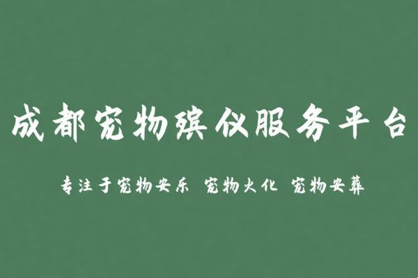 成都宠回星球宠物火化