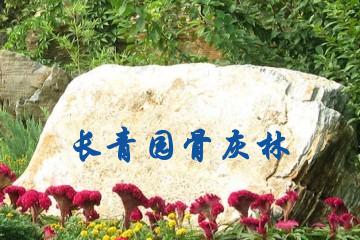 北京长青园骨灰林