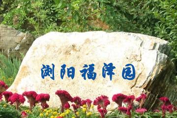长沙浏阳福泽园